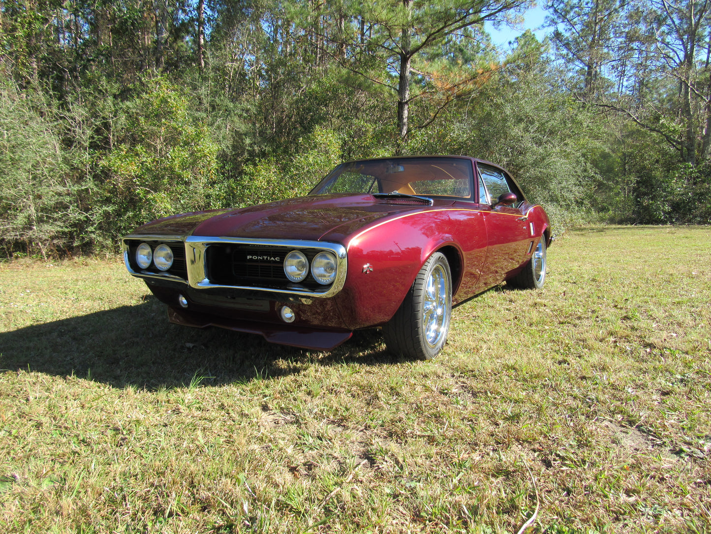 1967 Firebird - Fuel Injected