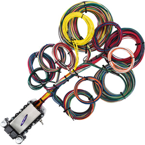 22 Circuit Wire Harness