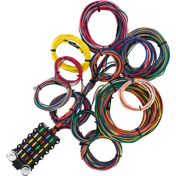 22 Circuit Budget Wire Harness