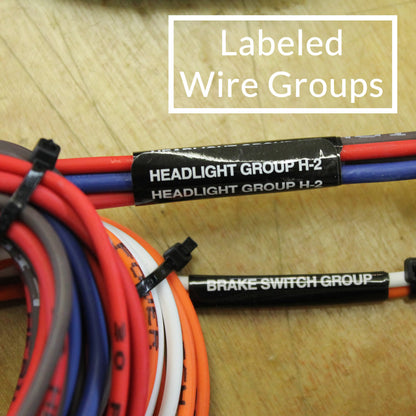 20 Circuit Budget Wire Harness