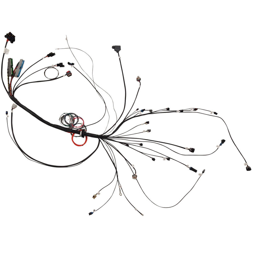 Fuel Injection Engine Harnesses